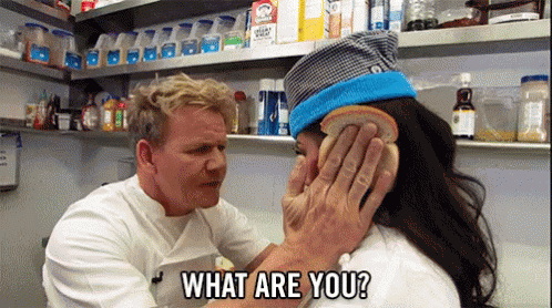 Gordon Ramsay What Are You? Meme Template