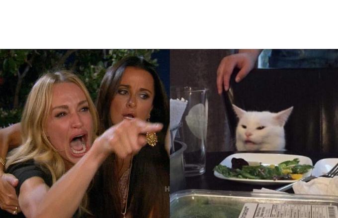 Woman Yelling at Cat meme template